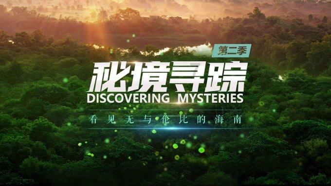减肥有什么冷知识？游戏画面